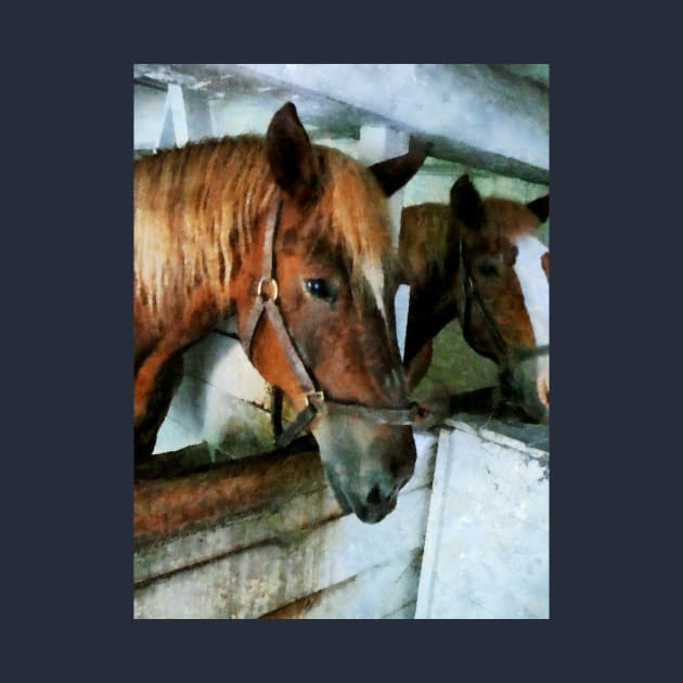 Horses - Brown Horse in Stall by SusanSavad