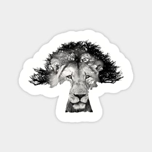 Baobab in Silhouette with Lion Face Overlay Magnet