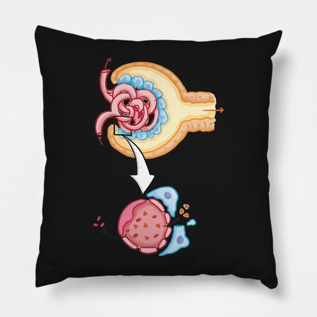 Bowman's capsule Nephron Kidney Glomerulus Pillow by labstud