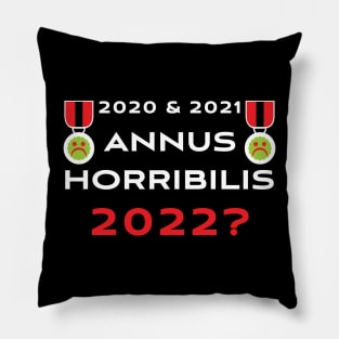2020 and 2021 Annus Horribilis 2022? Pillow