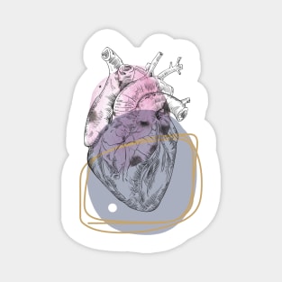 Anatomical heart, engraving drawing. Magnet