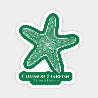 Common Starfish with Common and Latin Names - ocean design Magnet