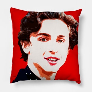 timothee chalamet Pillow