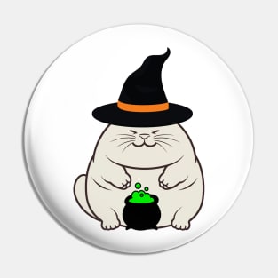 Funny fat cat is wearing a witch costume Pin