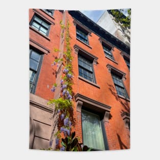 Wisteria on Manhattan townhouse Tapestry