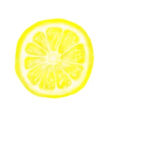 Lemon Slice T-Shirt