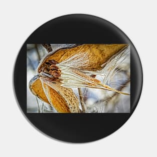 Frosted Milkweed Pin