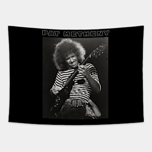 Pat Metheny Tapestry