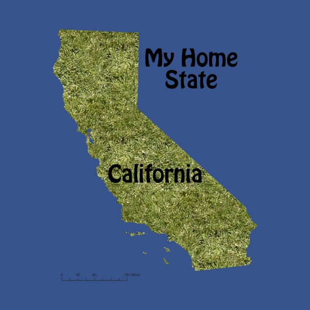 California My Home State by BKMuir