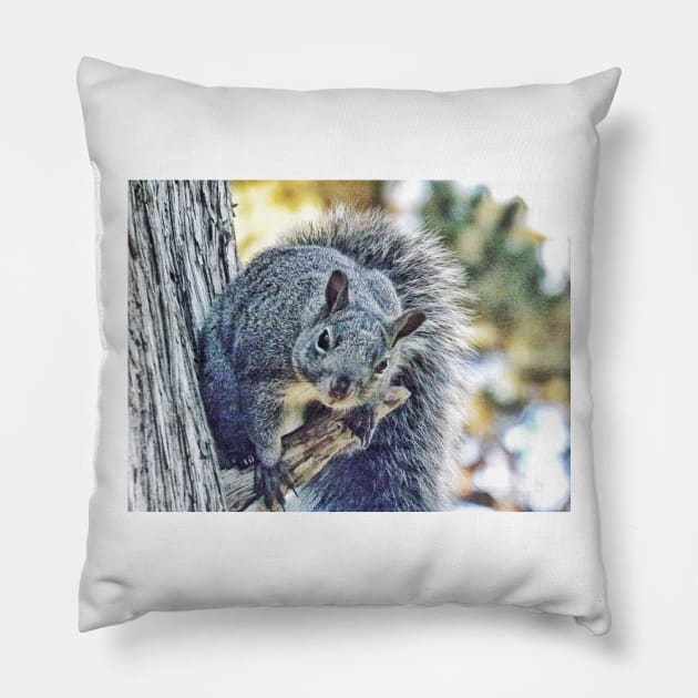 Curious woodland creature Pillow by Photography_fan