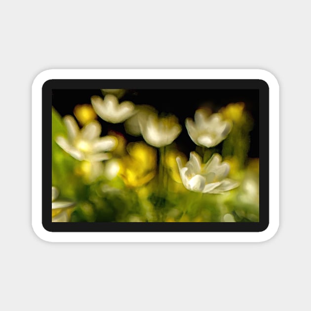 A CELENDINE IMPRESSION Magnet by dumbodancer