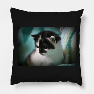 Wellington Pillow