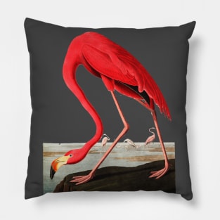 John J, Audubon Greater Flamingo Pillow