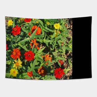 Pretty Red Orange and yellow Flowers with green leaves nature lovers beautiful photography design Tapestry