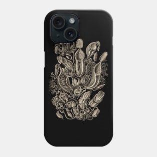 Ernst Haeckel  Pitcher Plant Wenge Phone Case