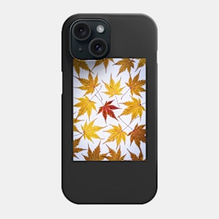 Acer Leaf Collage Phone Case