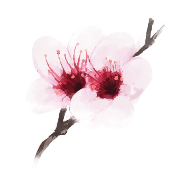 Watercolor Cherry Blossom by MadCanvas