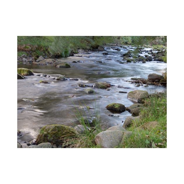 The River Coquet in the Cheviots, Northumberland by HazelWright