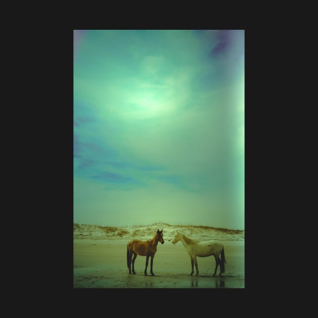 Wild Horses of Cumberland Island by oliviastclaire