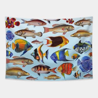 Colorful fish in the ocean Tapestry