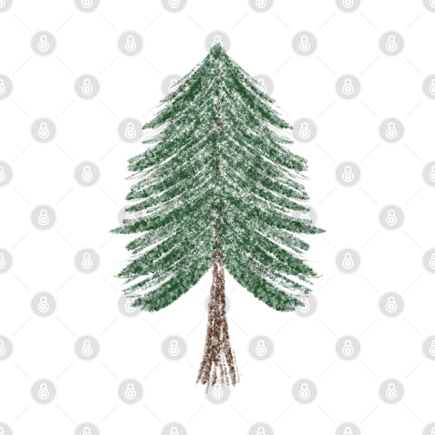Pine Tree Sketch by Penny Jane Studios