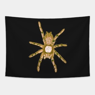 Tarantula Only “Vaporwave” V1 Tapestry