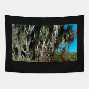 Fall into Central Florida Tapestry