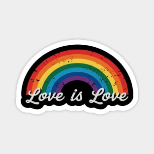 Gay Pride Rainbow LGBT Love Is Love Magnet