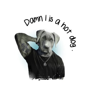 Danm I Is A Hot Dog- - Funny Dog Pun T-Shirt