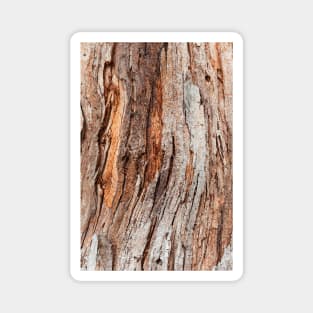 Tree Trunk Bark Surface Magnet