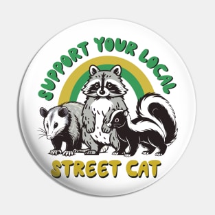 raccoon cat Pin