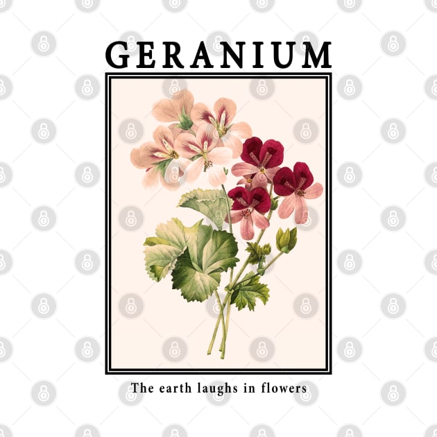 Geranium - Vintage Postcard by j.adevelyn