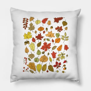 Autumn leaves, nuts and berries Pillow