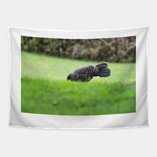 Ring-necked pheasant Tapestry