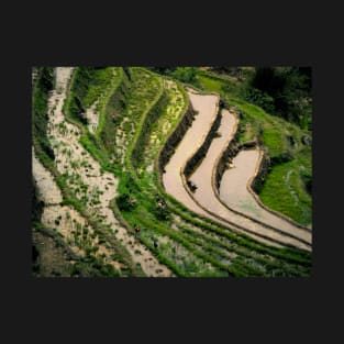 Emerald Terraces of Sapa, Vietnam T-Shirt