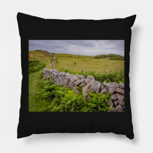 A view from the Welsh Coastal path Pillow