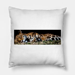 Jaguar two Pillow