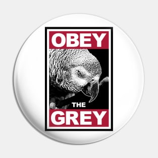 Obey the African Grey Parrot Funny Joke Meme Pin