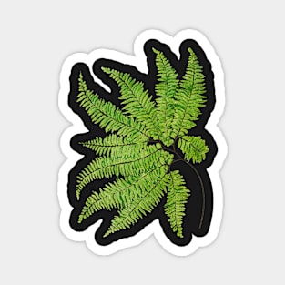 Rare maidenhair fern botanical illustration Magnet