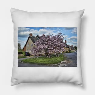 Ashby St Ledgers thatched cottages Pillow