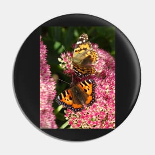 Painted lady and the Tortoiseshell Pin