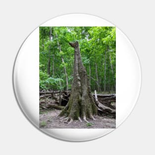 Broken Tree Standing Tall Photographic Image Pin