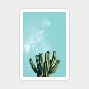 Boho Mexican Desert Cactus Succulent Magnet