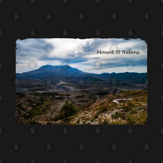 Mount St Helens Summer View by JeanKellyPhoto