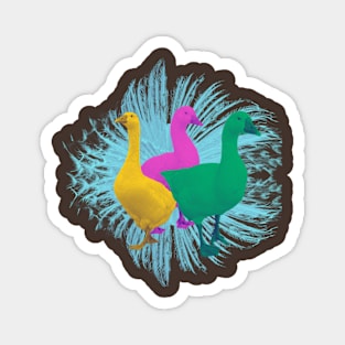 three geese and aqua blue feathers Magnet