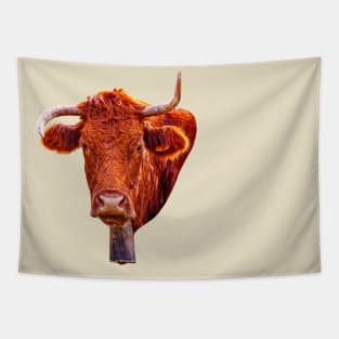 Who you calling Wonky Horn! Tapestry