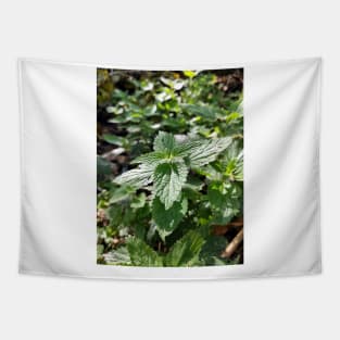 Nettle Tapestry