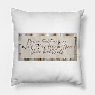 books/TV Pillow