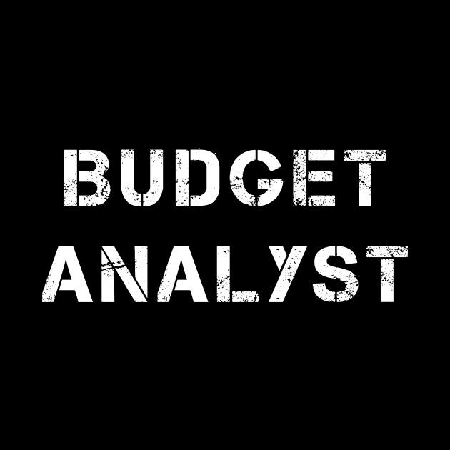 Budget Analyst by PallKris