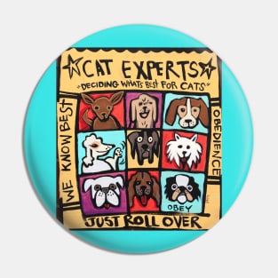 Cat Experts Pin